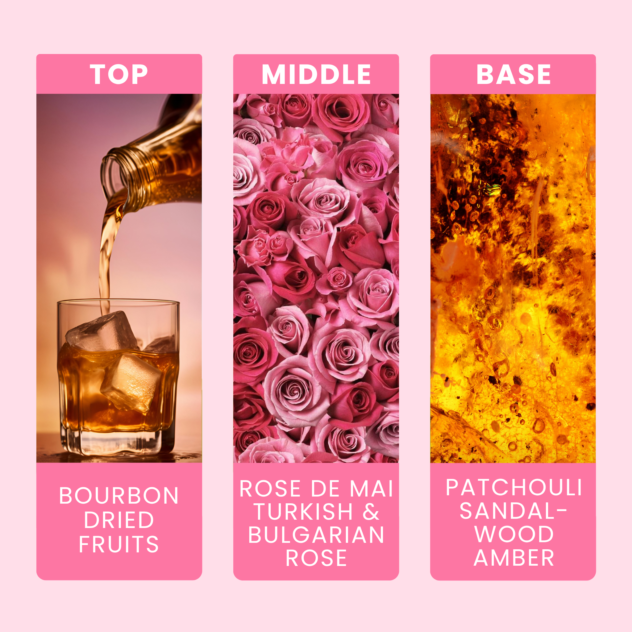 dark-rose-fragrance-oil-notes