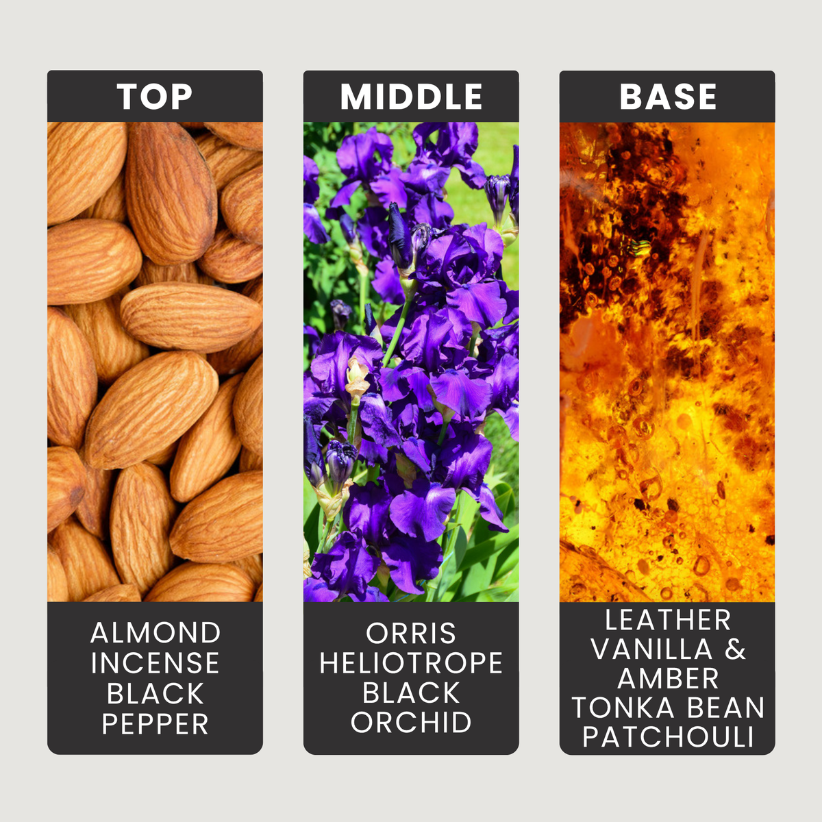 Delphinus fragrance oil notes: almond, incense and pink pepper with orris and black orchid over smoky leather