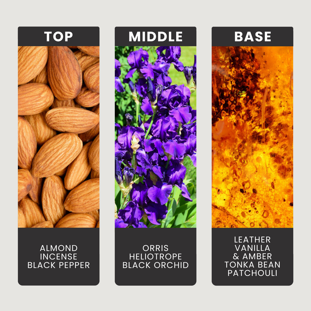 Delphinus fragrance oil notes: top – almond, incense, black pepper; middle – orris, heliotrope, black orchid; base – leather, vanilla & amber, tonka bean, patchouli
