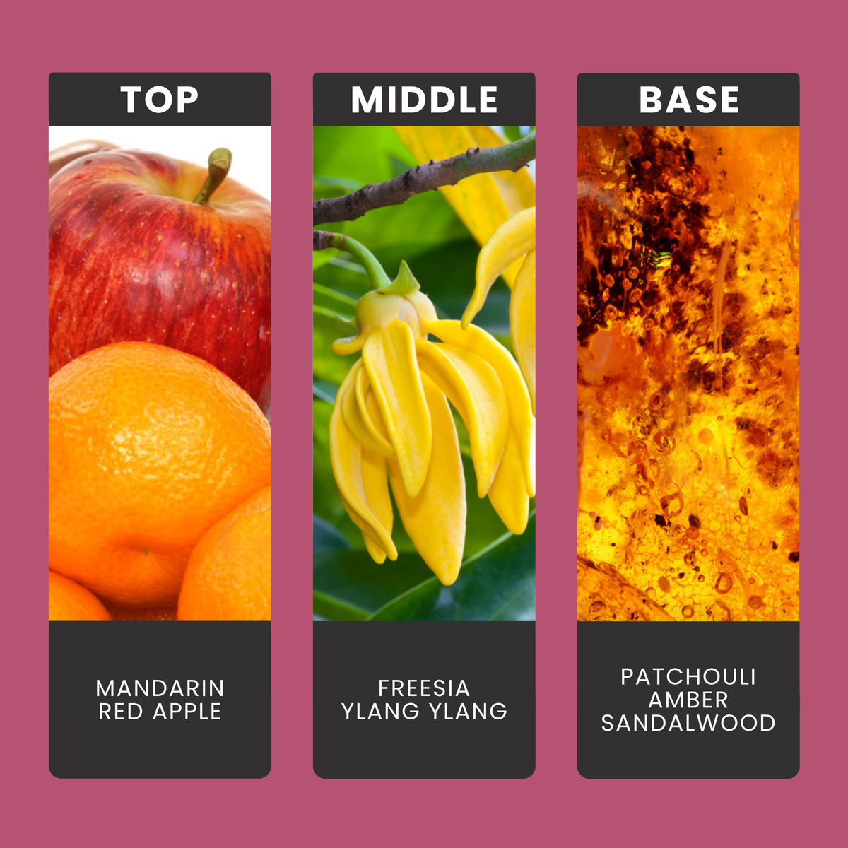 Dragons Blood fragrance oil notes: top – mandarin, red apple; middle – freesia, ylang ylang; base – patchouli, amber, sandalwood