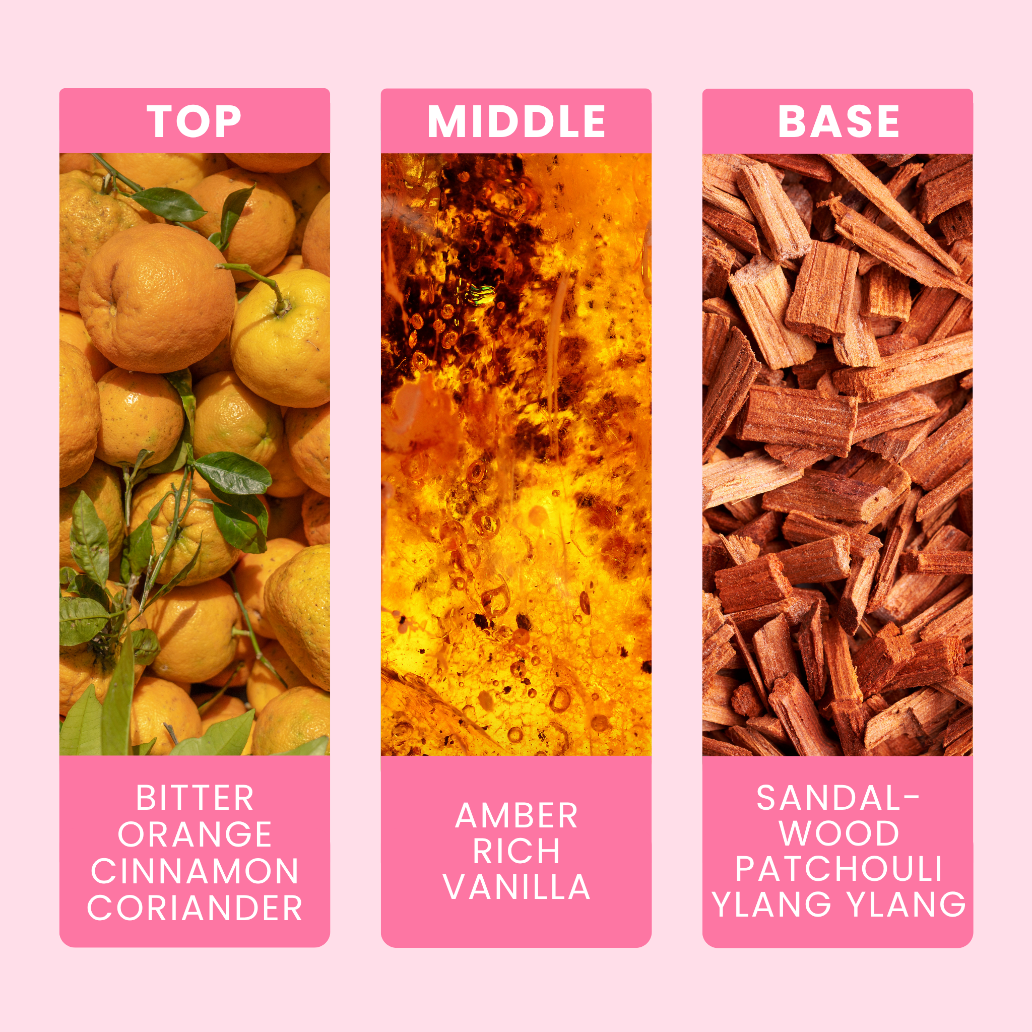 egyptian-amber-fragrance-oil-notes
