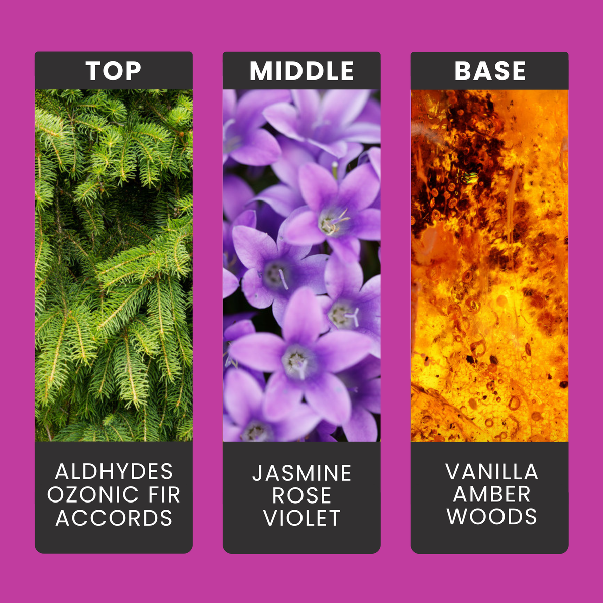 Enchanted Wildflowers fragrance oil notes: sparkling aldehydes and fir with jasmine, rose and wild violet over vanilla and amber