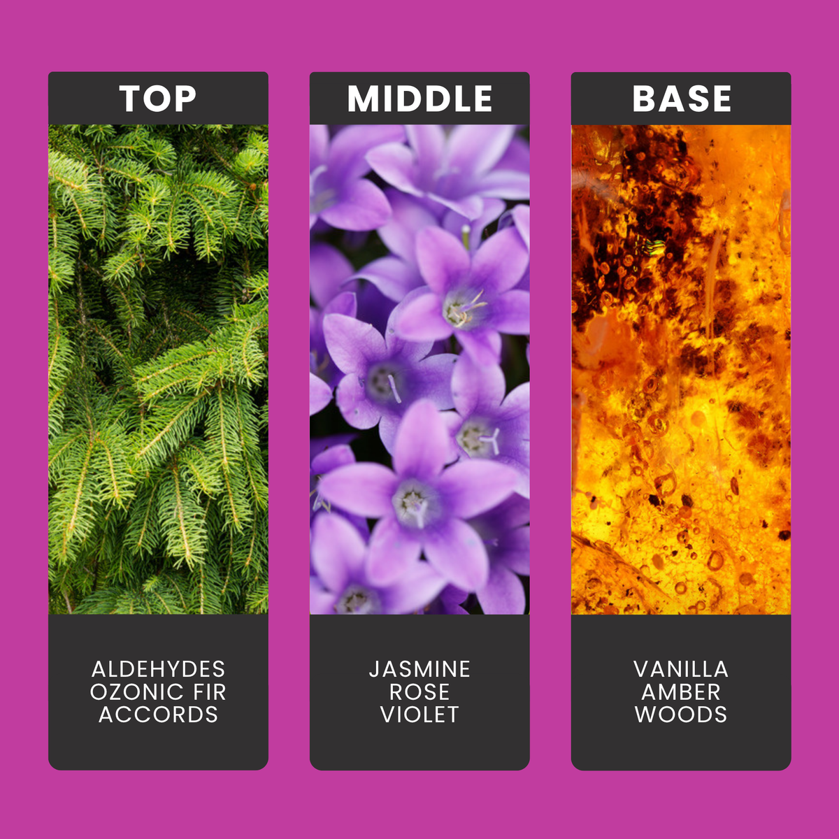 Enchanted Wildflowers fragrance oil notes: top – aldehydes, ozonic fir accords; middle – jasmine, rose, violet; base – vanilla, amber, woods