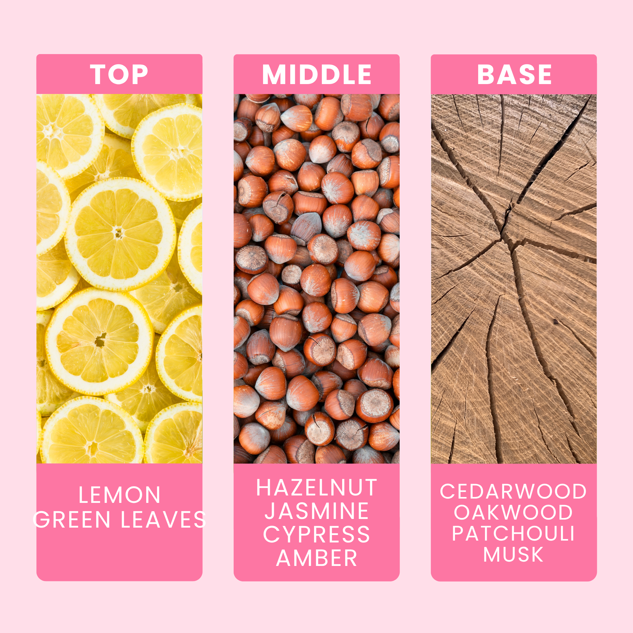english-oak-and-hazelnut-fragrance-oil-notes