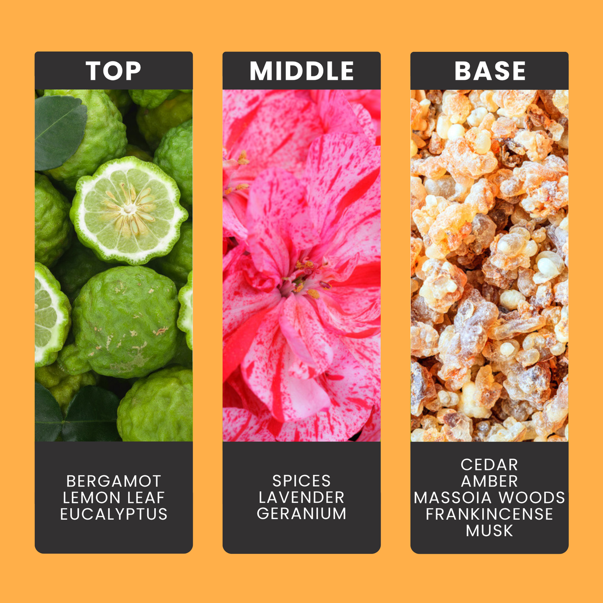Falling For You fragrance oil notes: top – bergamot, lemon leaf, eucalyptus; middle – spices, lavender, geranium; base – cedar, amber, massoia woods, frankincense, musk