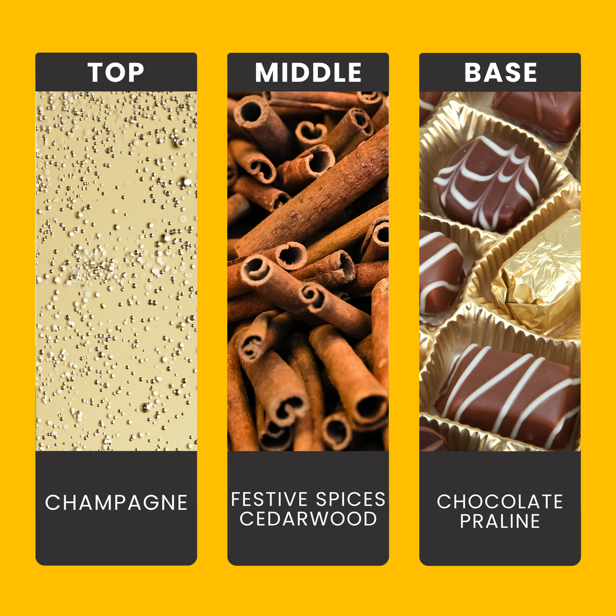 festive-fizz-and-praline-fragrance-oil-notes