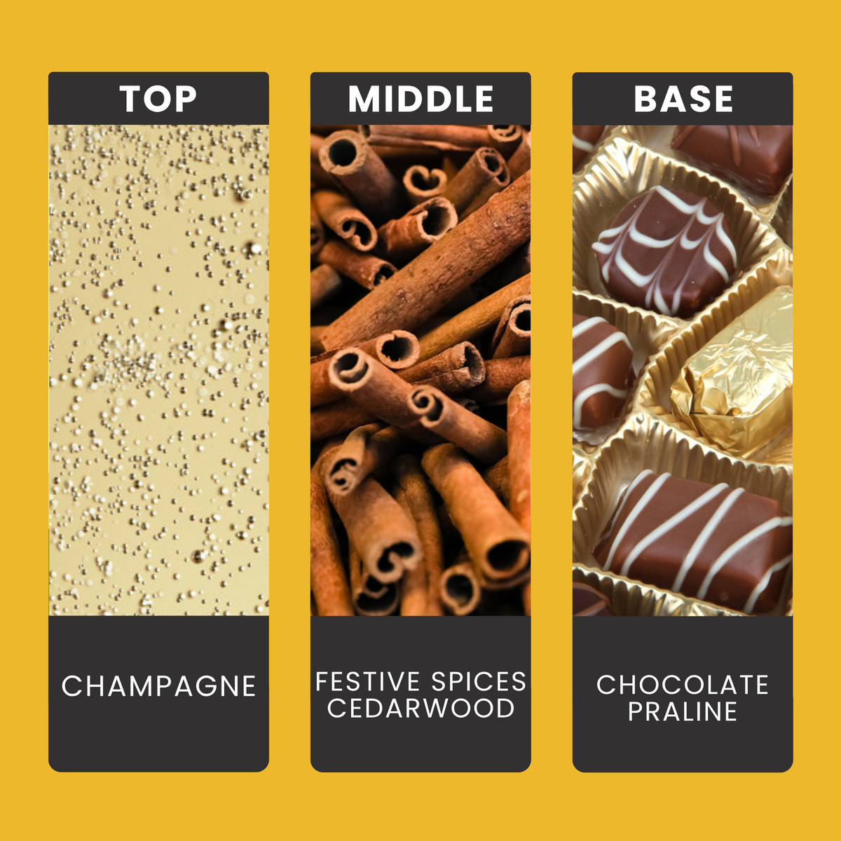 Festive Fizz & Praline fragrance oil notes: bubbly champagne with festive spice and cedarwood over decadent praline