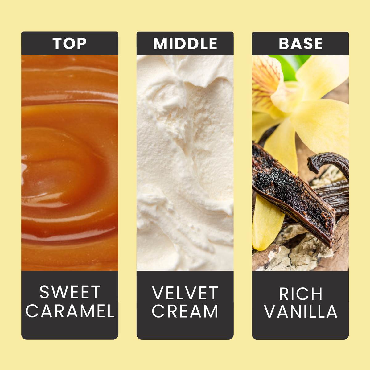 French Vanilla fragrance oil notes: rich, creamy vanilla with sweet caramel and warm tonka bean