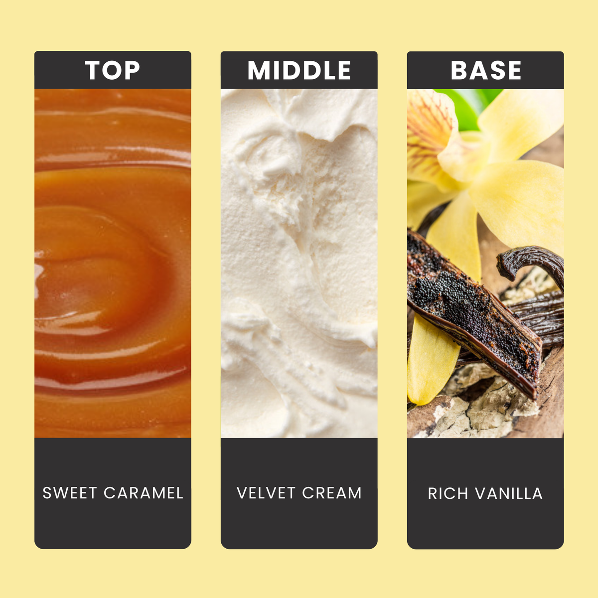 French Vanilla fragrance oil notes: top – sweet caramel; middle – velvet cream; base – rich vanilla