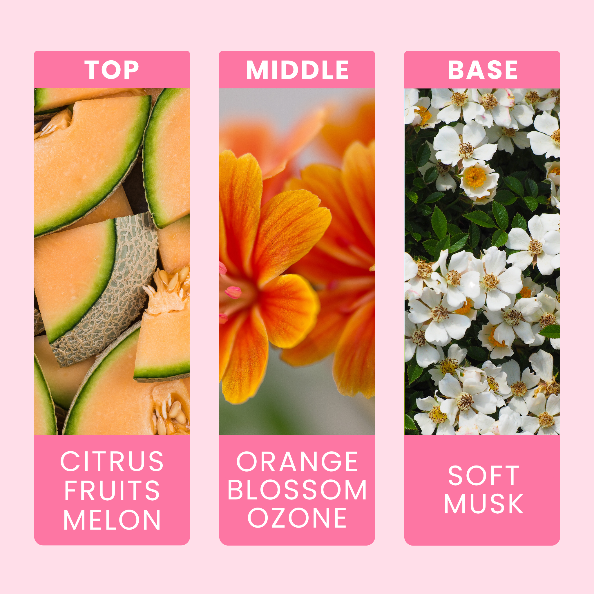 fresh-linen-fragrance-oil-notes