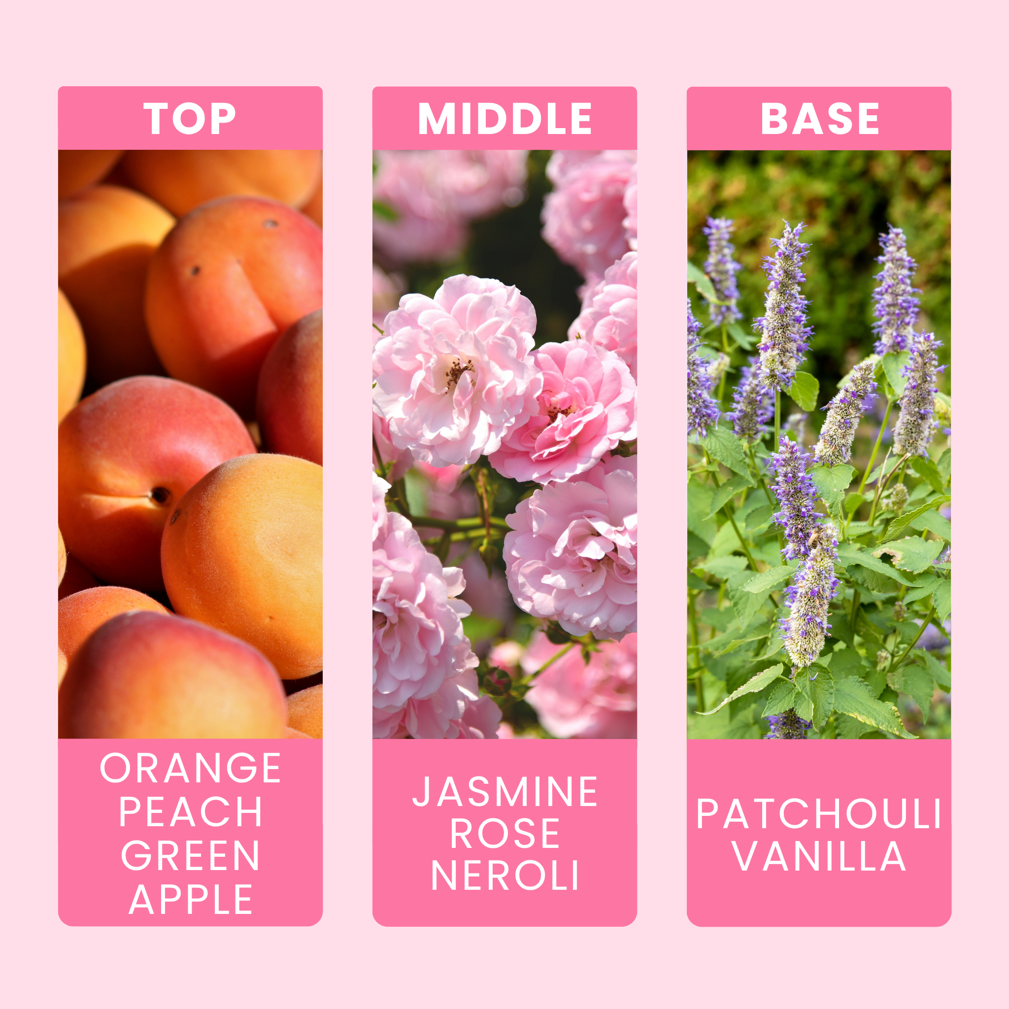 fresh-unstoppable-fragrance-oil-notes