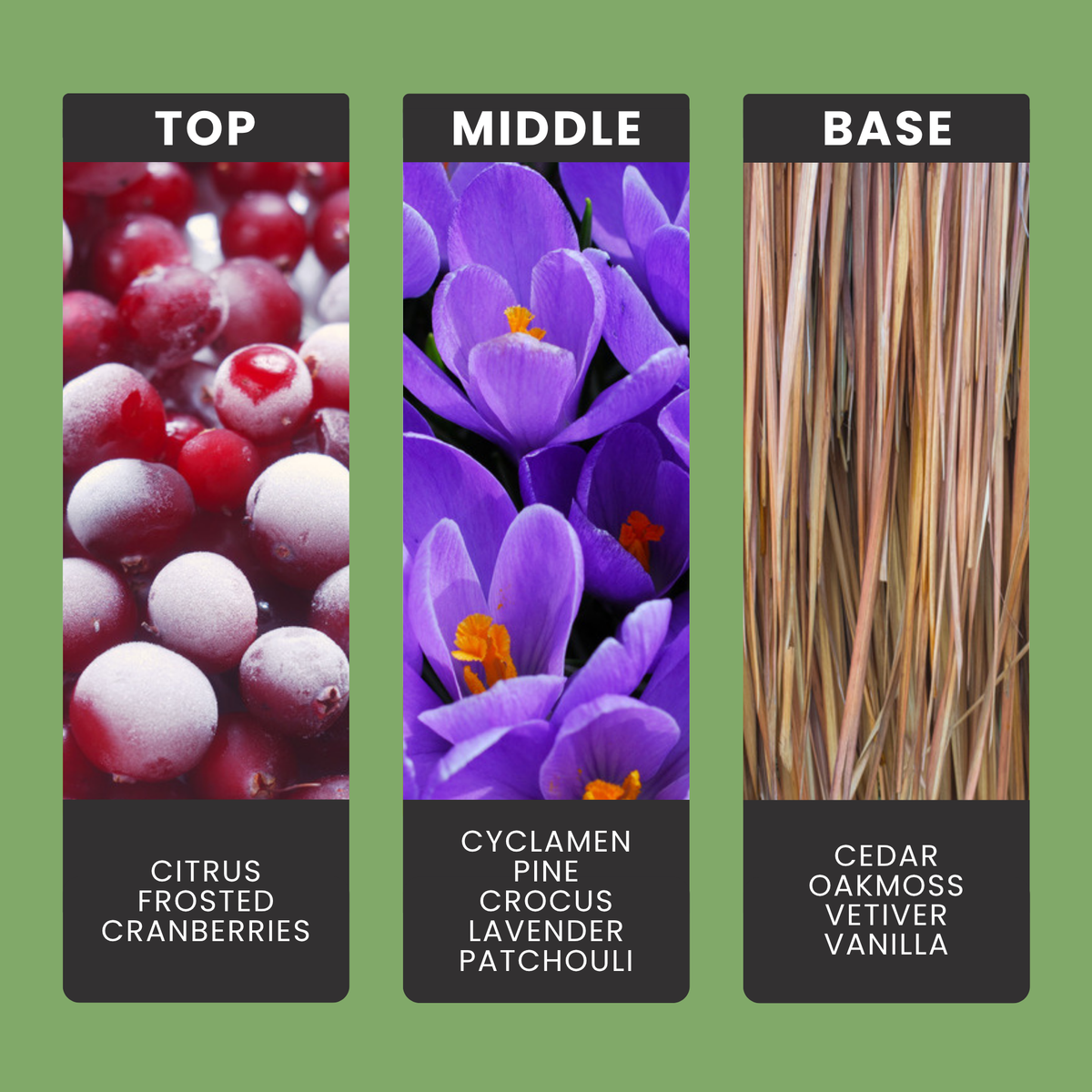 Frosted Citrus Forest fragrance oil notes: top – citrus, frosted cranberries; middle – cyclamen, pine, crocus, lavender, patchouli; base – cedar, oakmoss, vetiver, vanilla