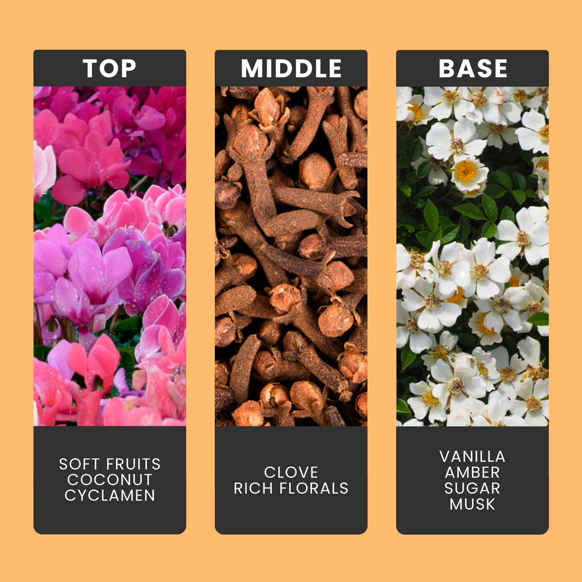 Golden Orchid fragrance oil notes: top – soft fruits, coconut, cyclamen; middle – clove, rich florals; base – vanilla, amber, sugar, musk
