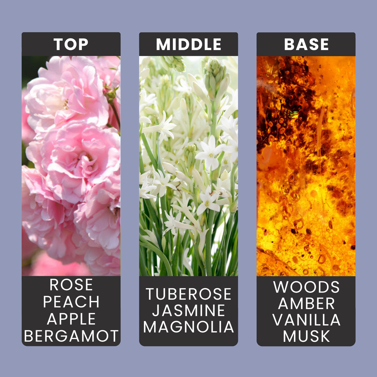 Good Girl fragrance oil notes: rose, peach and apple with tuberose, jasmine and magnolia over amber and vanilla