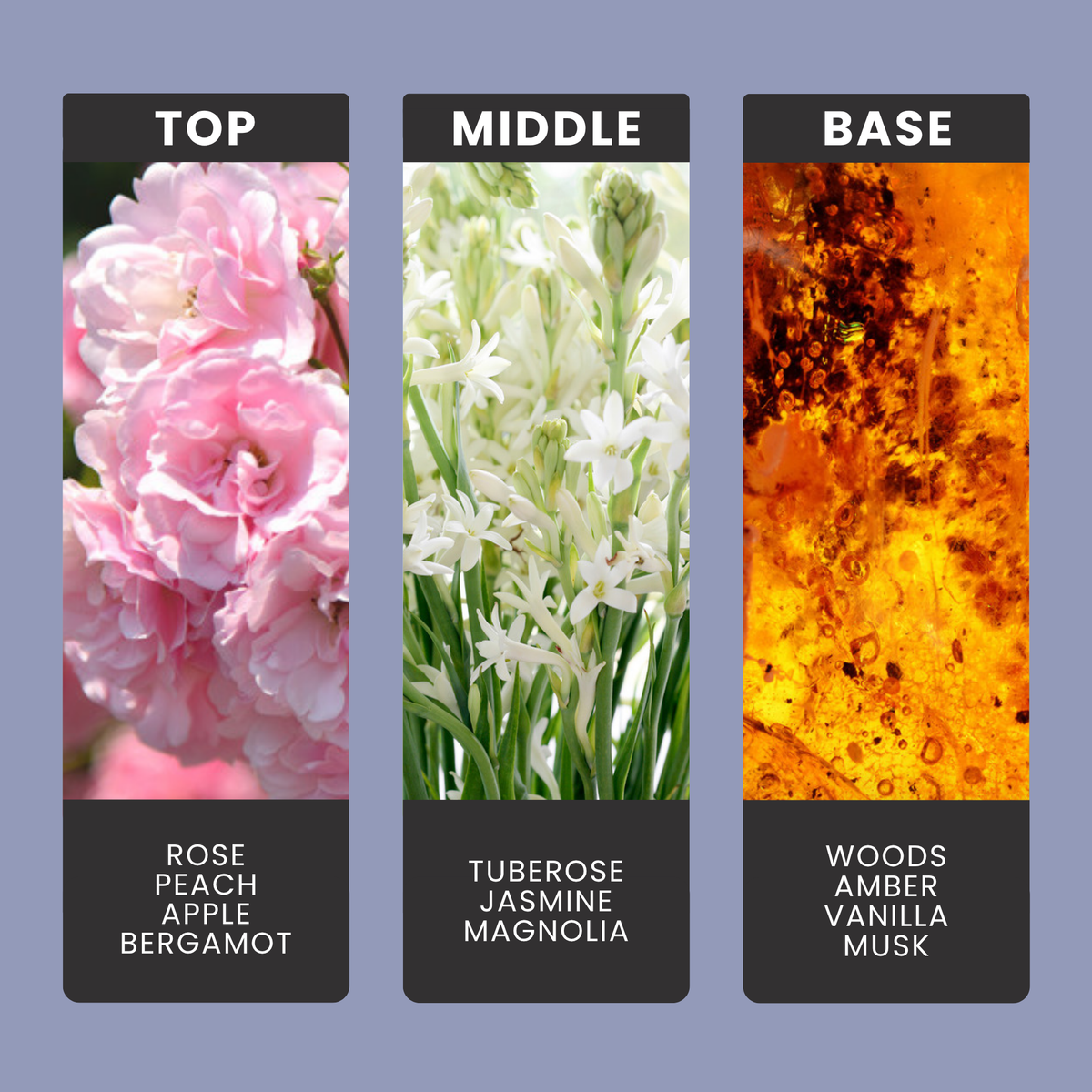 Good Girl fragrance oil notes: top – rose, peach, apple, bergamot; middle – tuberose, jasmine, magnolia; base – woods, amber, vanilla, musk