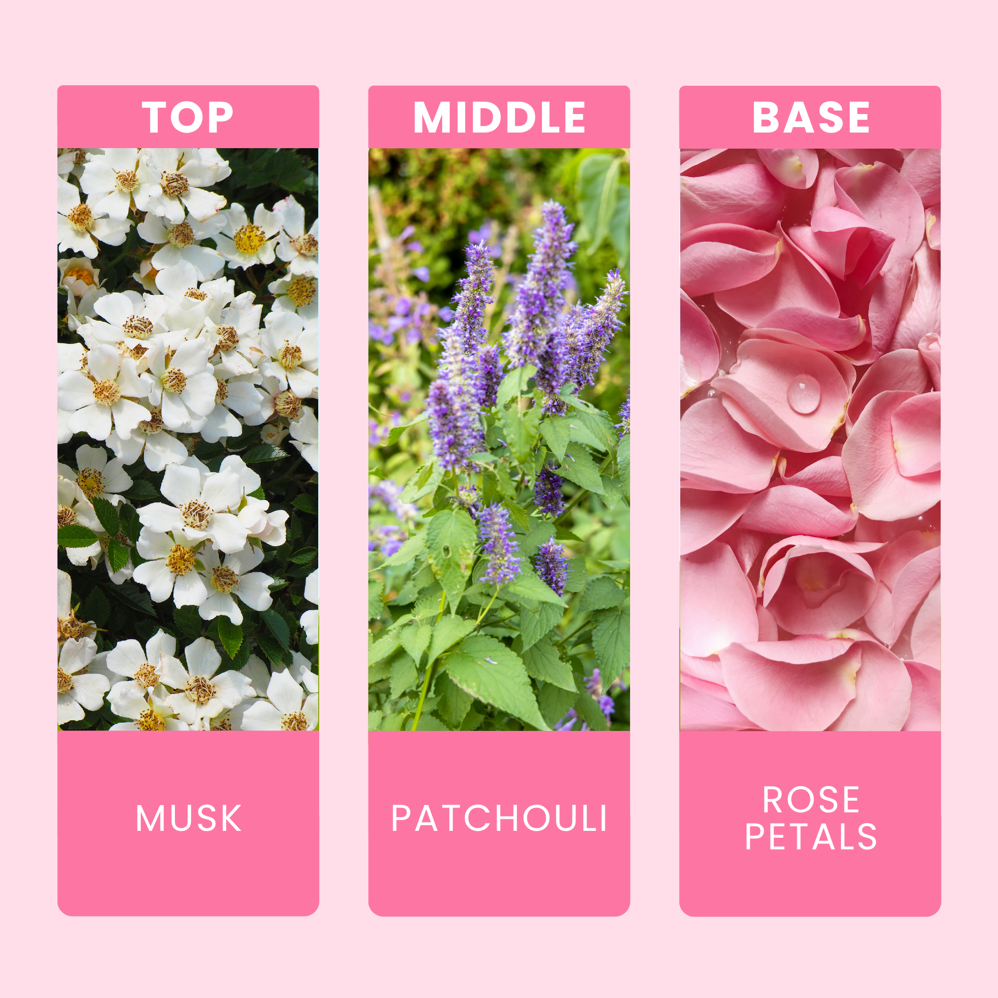 heaven-scent-fragrance-oil-notes