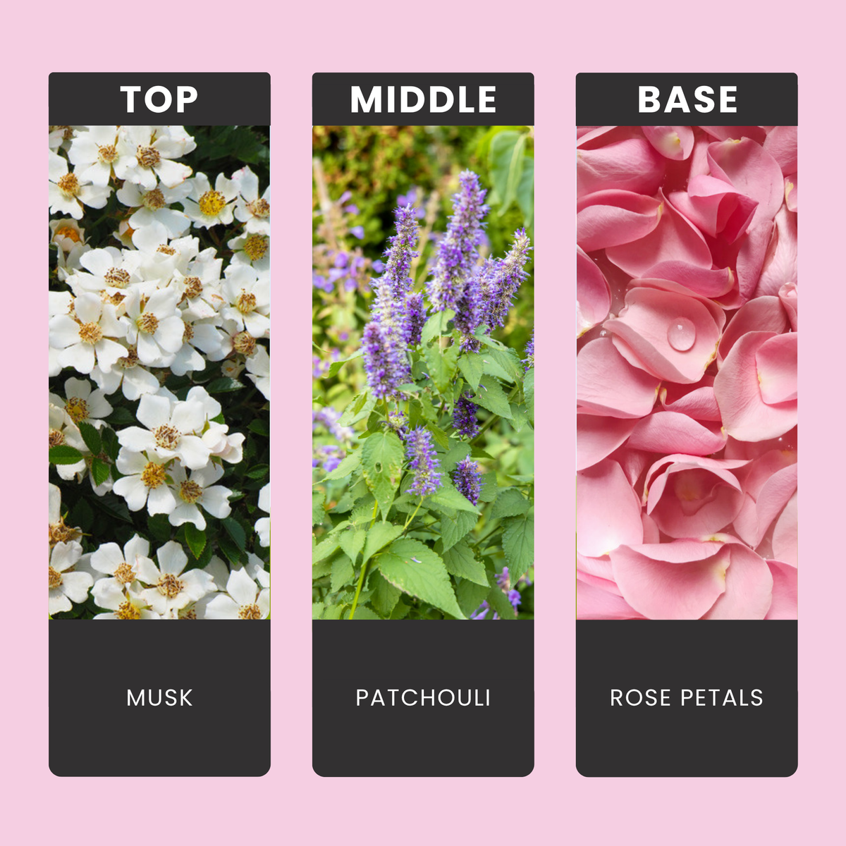 Heaven Scent fragrance oil notes: top – musk; middle – patchouli; base – rose petals