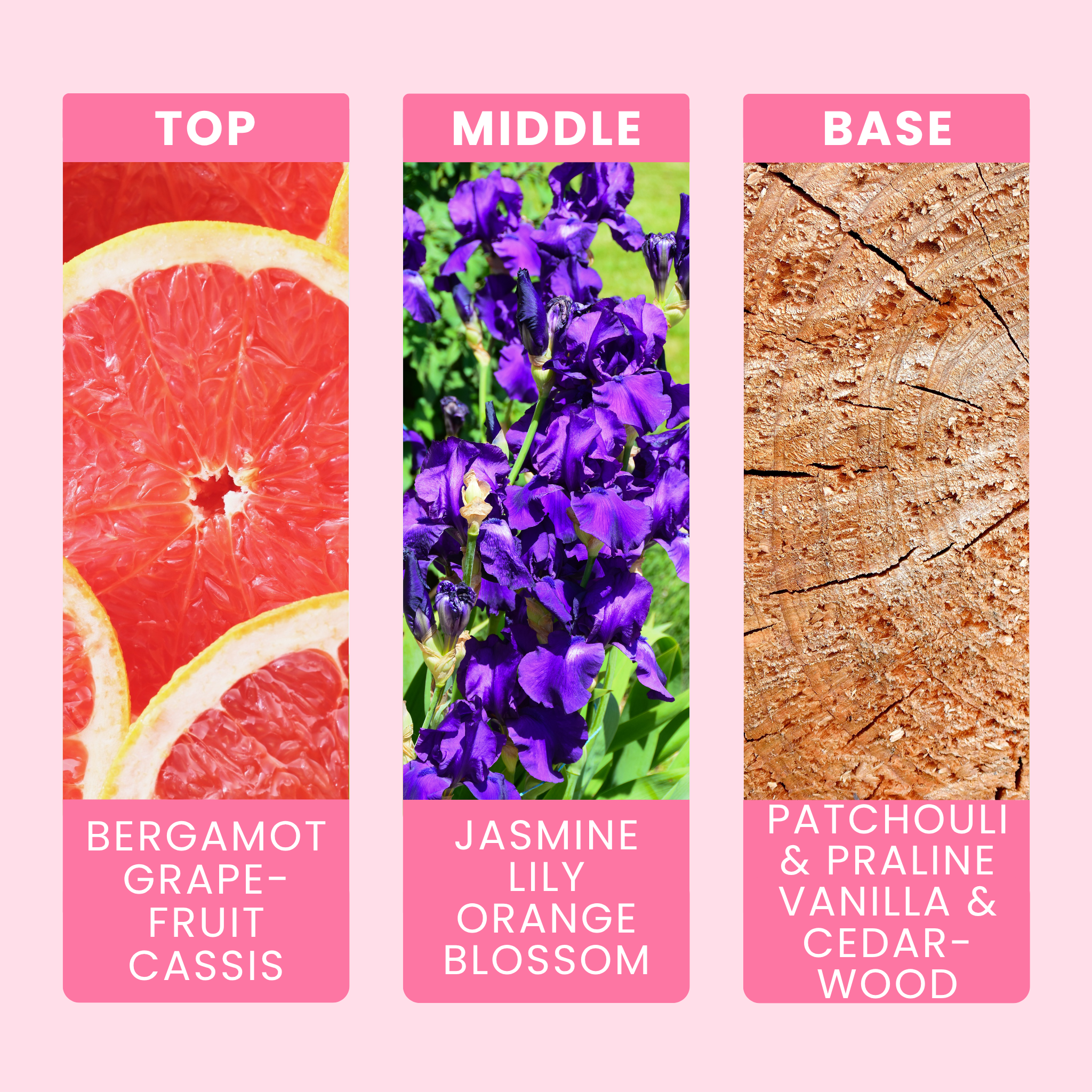 la-vie-est-belle-fragrance-oil-notes