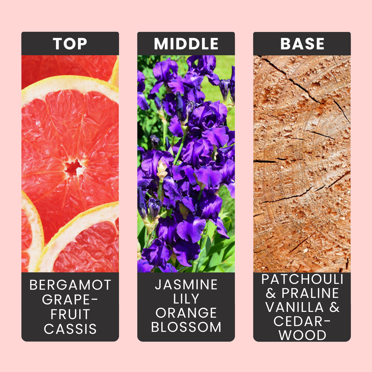 La Vie Est Belle fragrance oil notes: bergamot, cassis and jasmine over praline, vanilla and patchouli