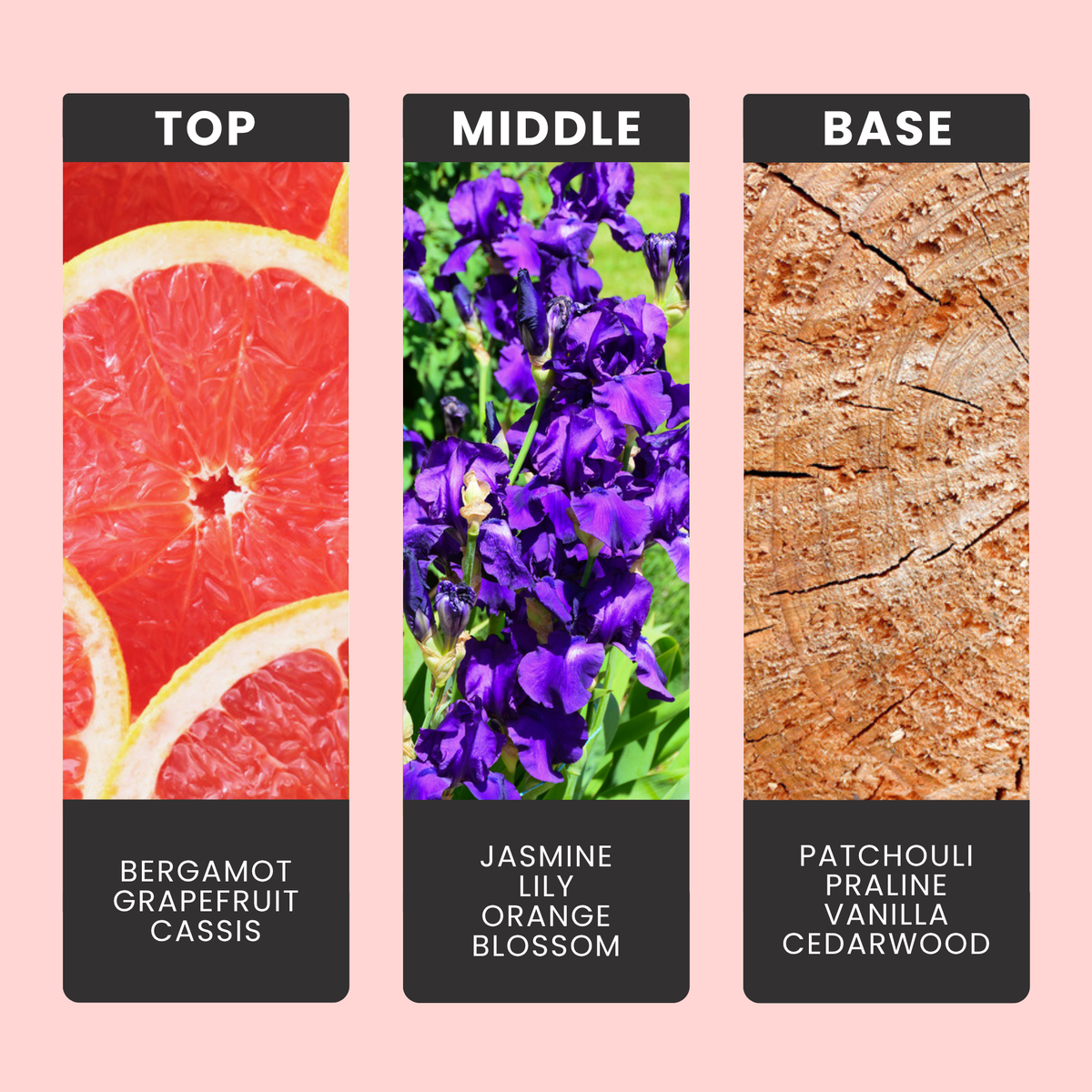 La Vie Est Belle fragrance oil notes: top – bergamot, grapefruit, cassis; middle – jasmine, lily, orange blossom; base – patchouli, praline, vanilla, cedarwood