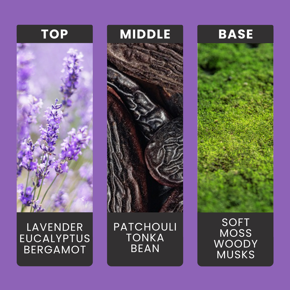 Lavender fragrance oil notes: lavender, eucalyptus and bergamot with patchouli, tonka and soft moss