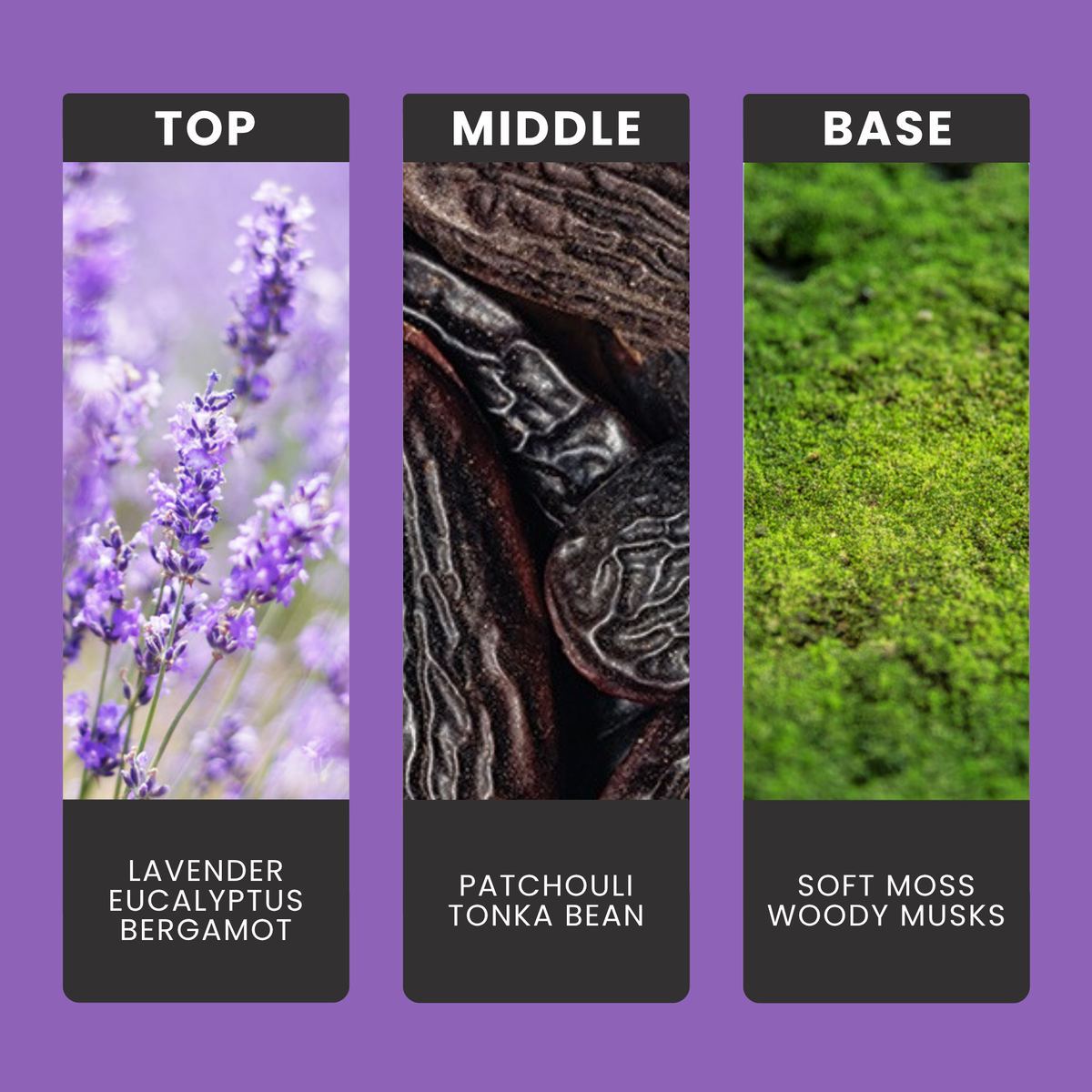 Lavender fragrance oil notes: top – lavender, eucalyptus, bergamot; middle – patchouli, tonka bean; base – soft moss, woody musks
