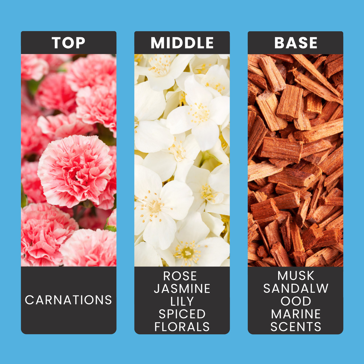 Lenora Blue fragrance oil notes: carnation, rose, jasmine and lily with marine notes, musk and sandalwood