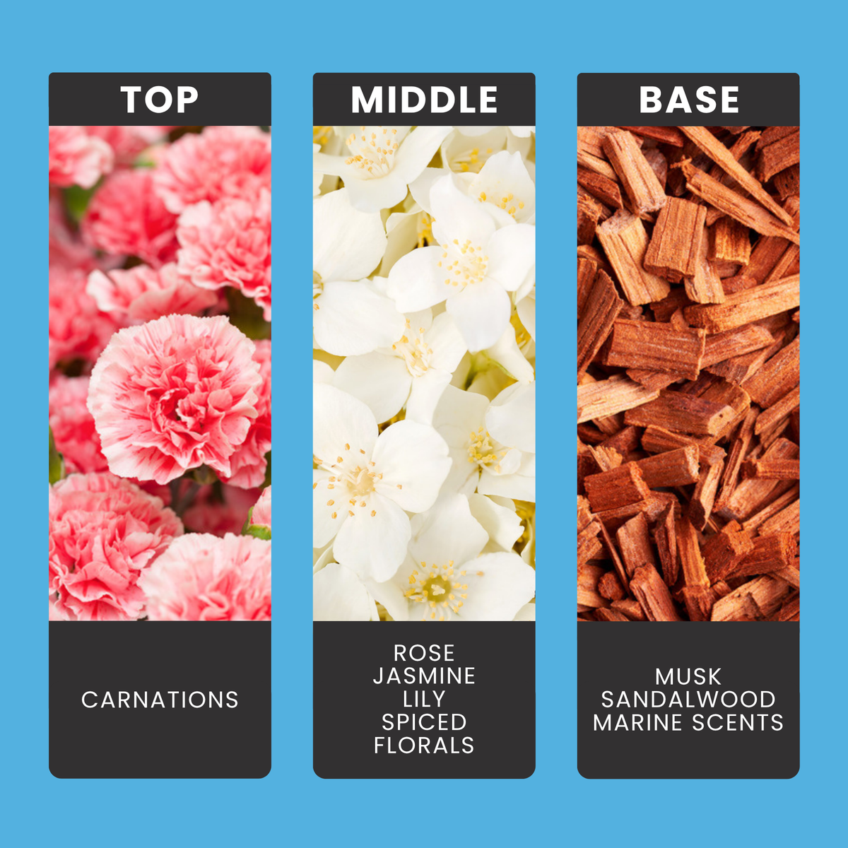 Lenora Blue fragrance oil notes: top – carnations; middle – rose, jasmine, lily, spiced florals; base – musk, sandalwood, marine scents