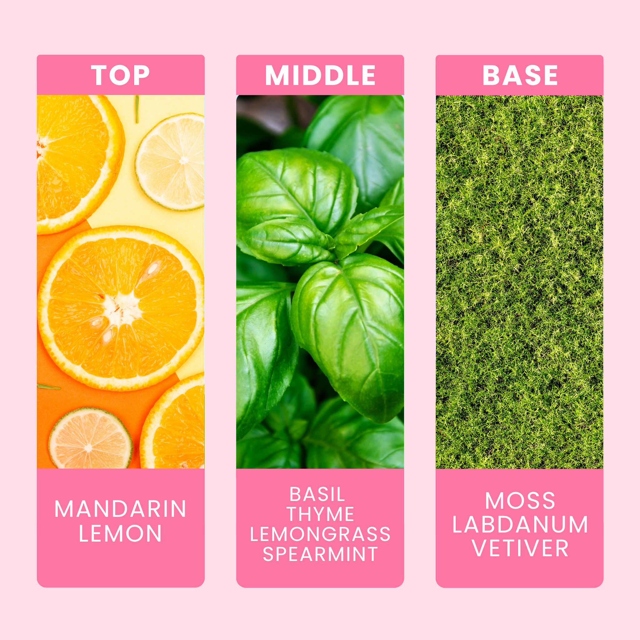lime-basil-and-mandarin-fragrance-oil-notes