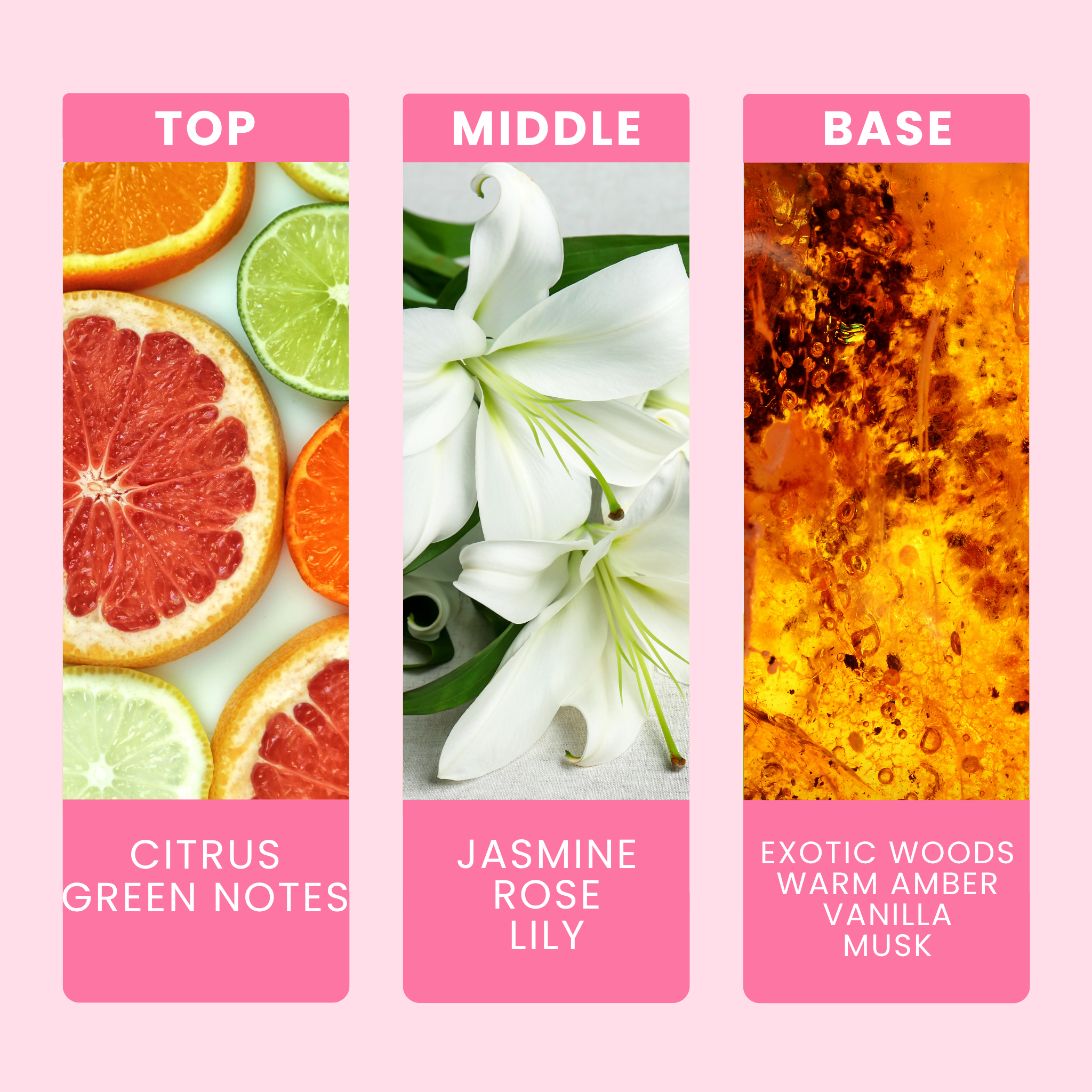 madame-fragrance-oil-notes