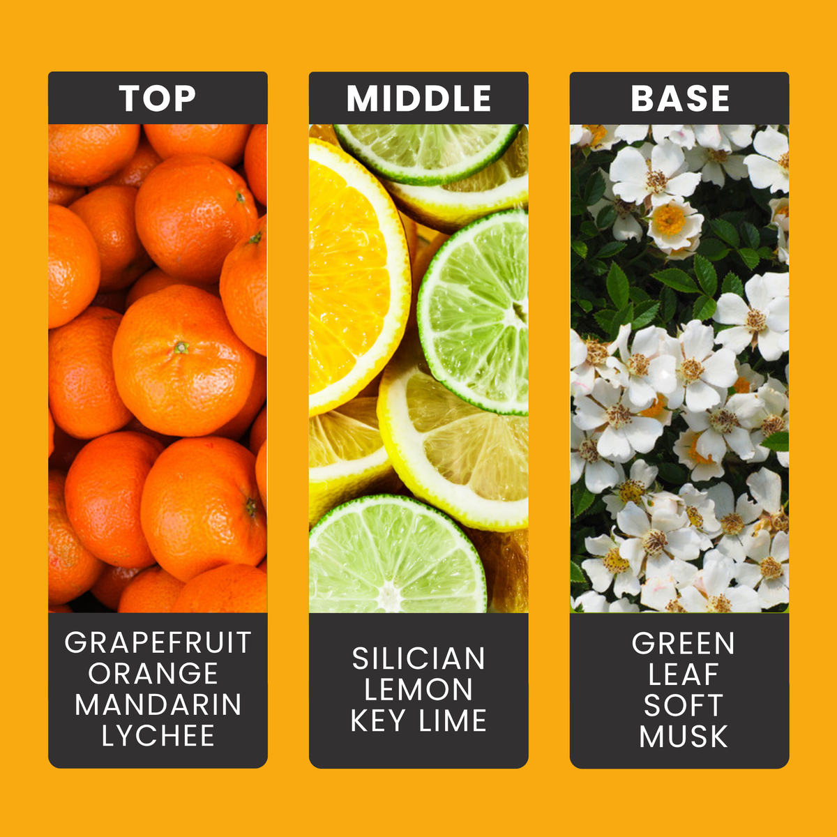 Mandarin & Orange fragrance oil notes: grapefruit, orange, mandarin and lychee with Sicilian lemon and lime