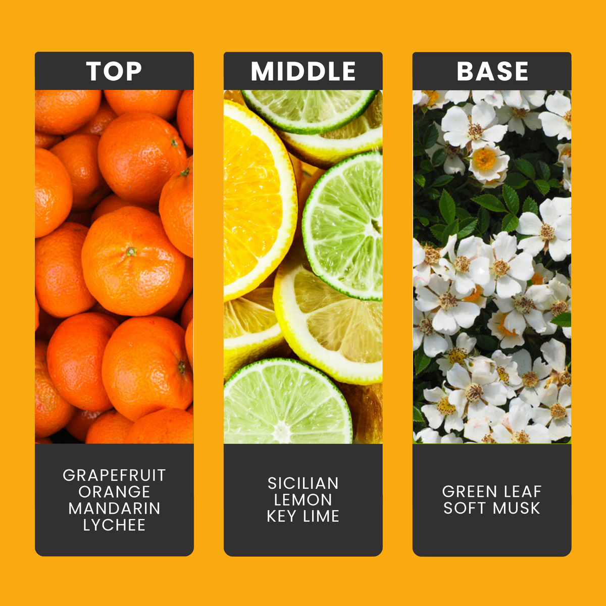Mandarin & Orange fragrance oil notes: top – grapefruit, orange, mandarin, lychee; middle – sicilian lemon, key lime; base – green leaf, soft musk