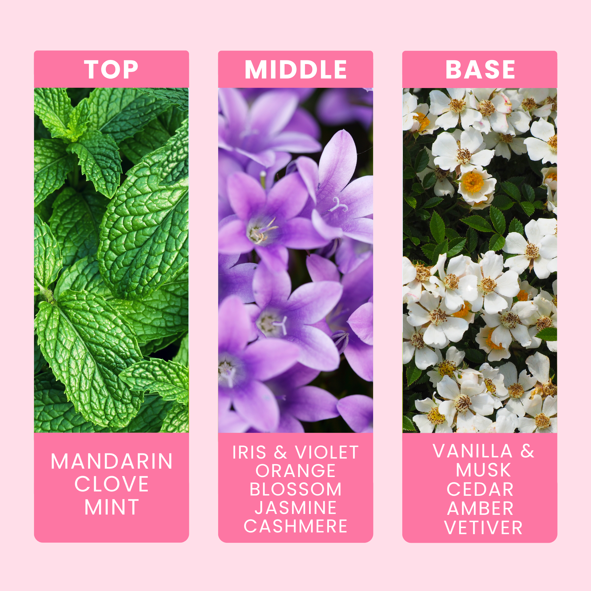 minted-heath-and-cashmere-fragrance-oil-notes