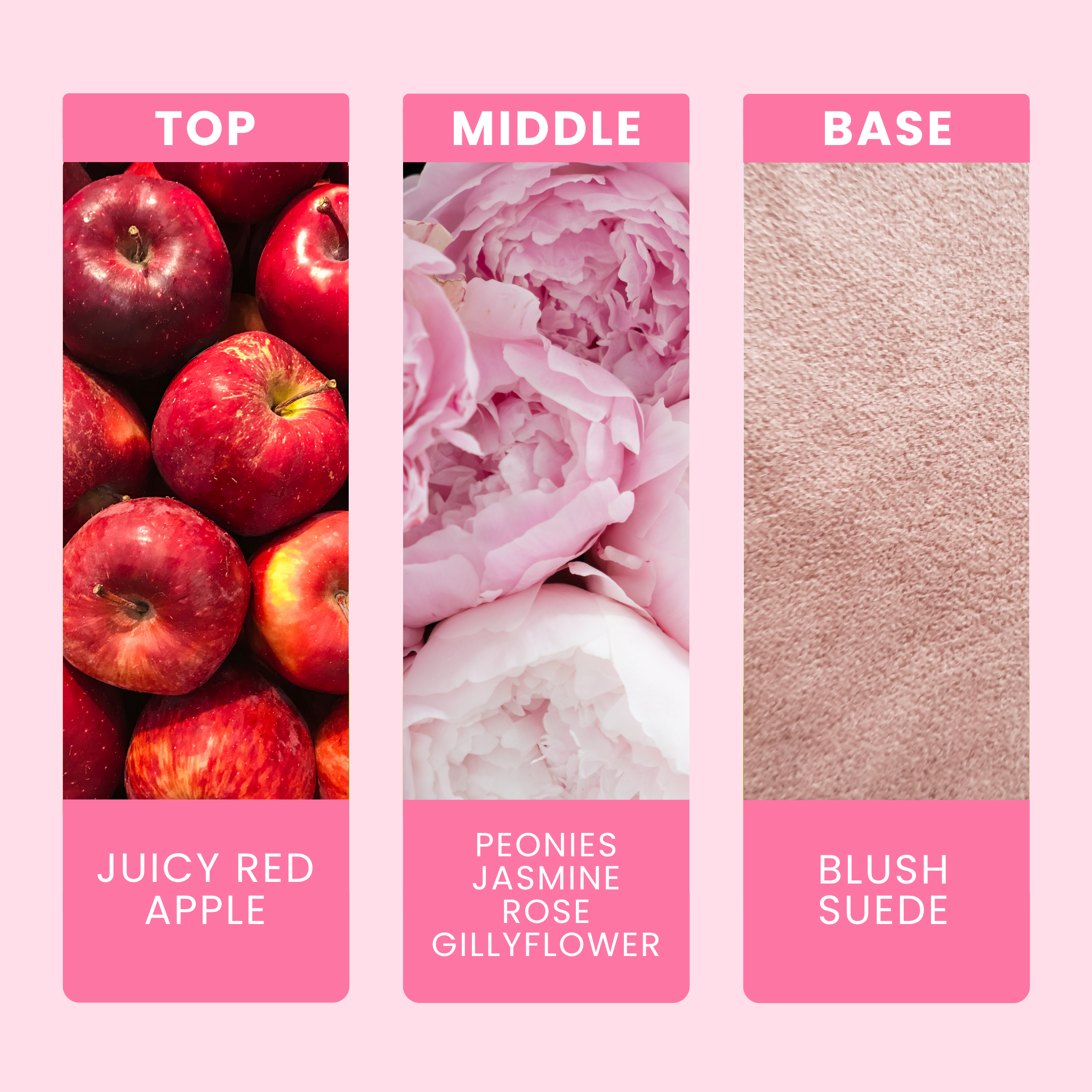 peony-and-blush-suede-fragrance-oil-notes