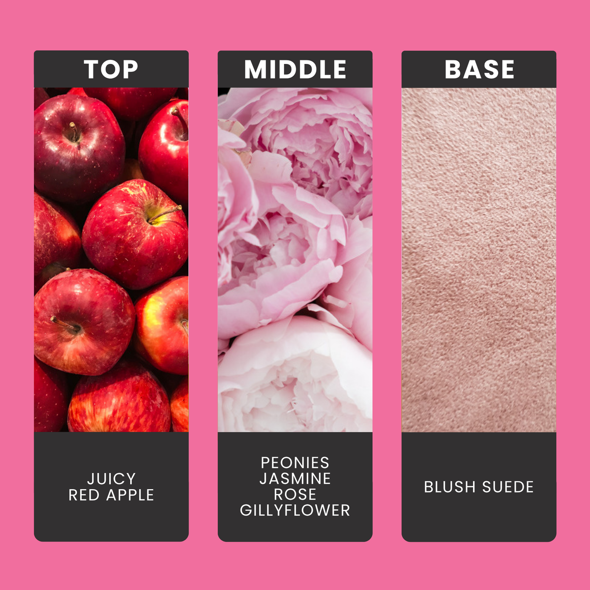 Peony & Blush Suede fragrance oil notes: top – juicy red apple; middle – peonies, jasmine, rose, gillyflower; base – blush suede