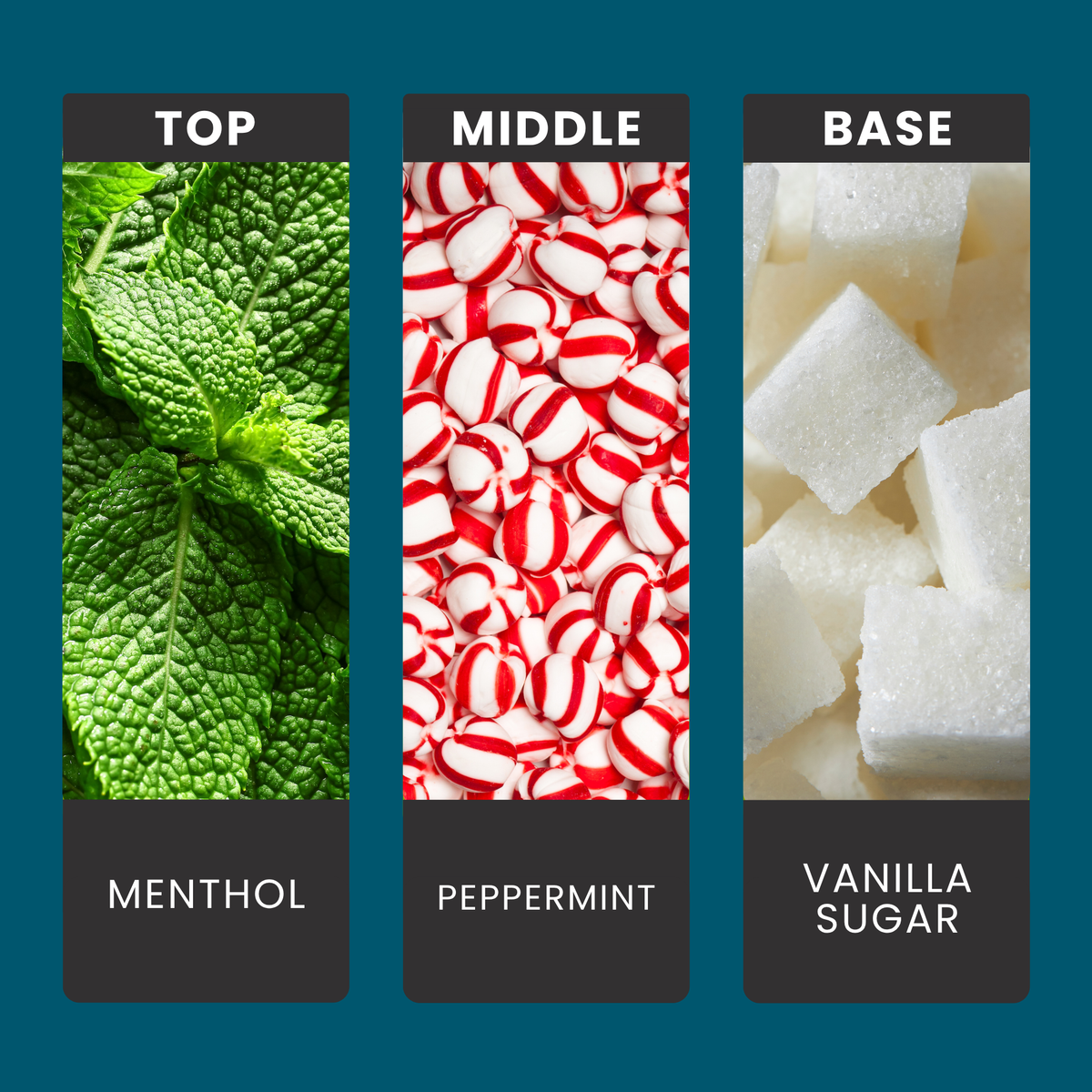 peppermint-treats-fragrance-oil-notes