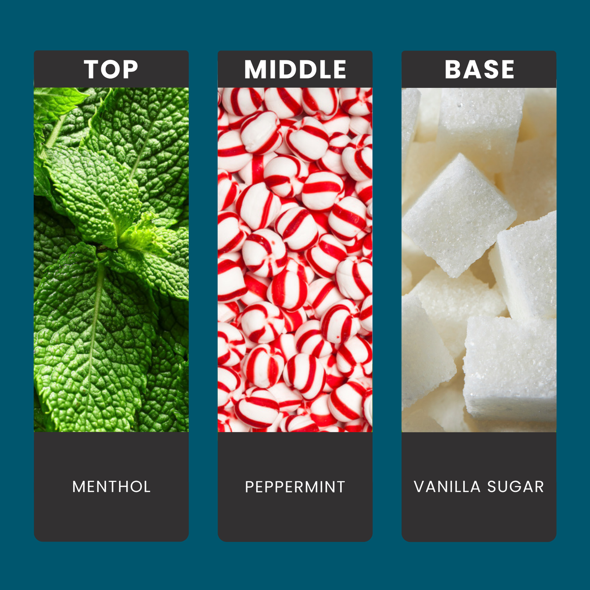 Peppermint Treats fragrance oil notes: top – menthol; middle – peppermint; base – vanilla sugar