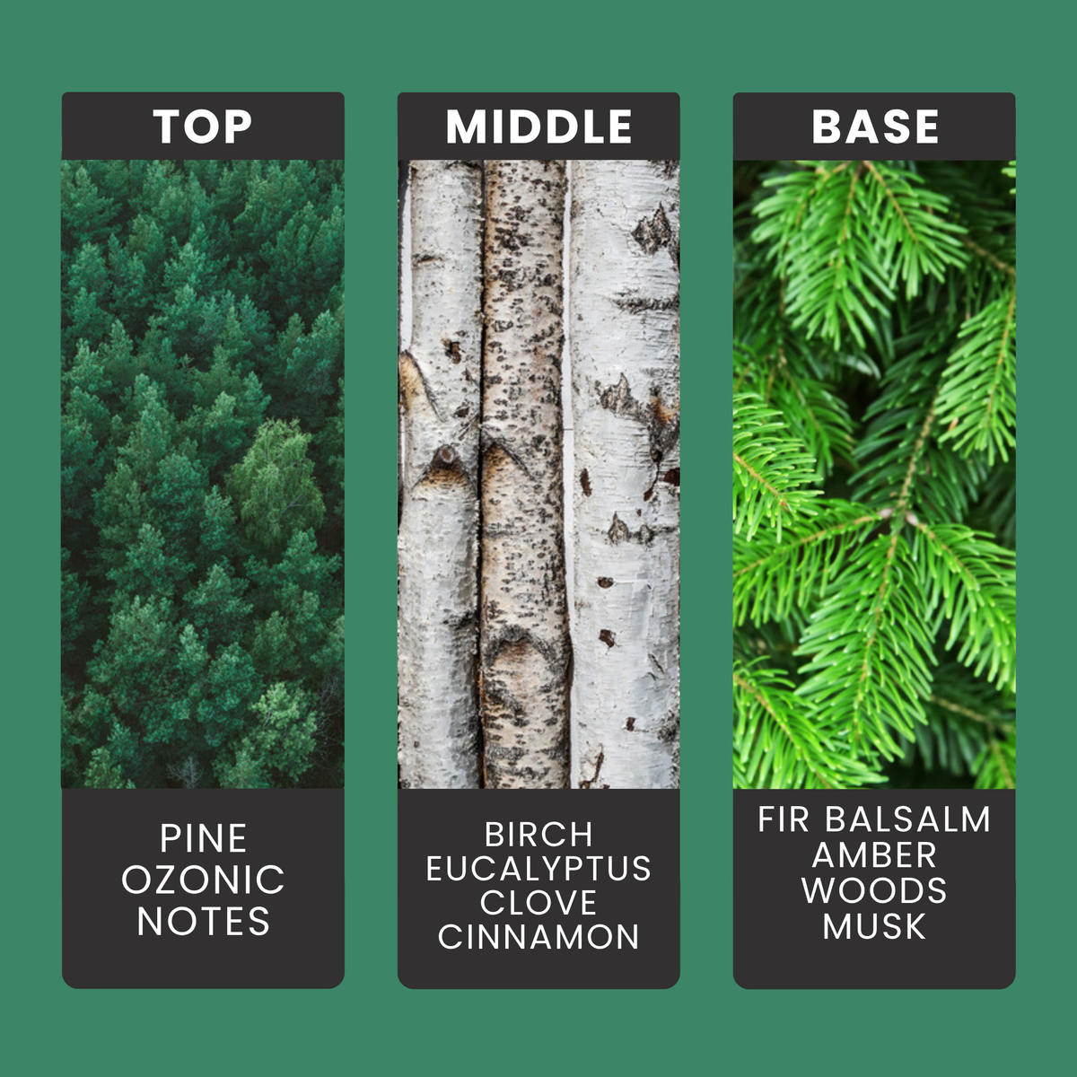 Pine-ing For You fragrance oil notes: pine, birch and spiced eucalyptus with clove over fir balsam, amber and woods