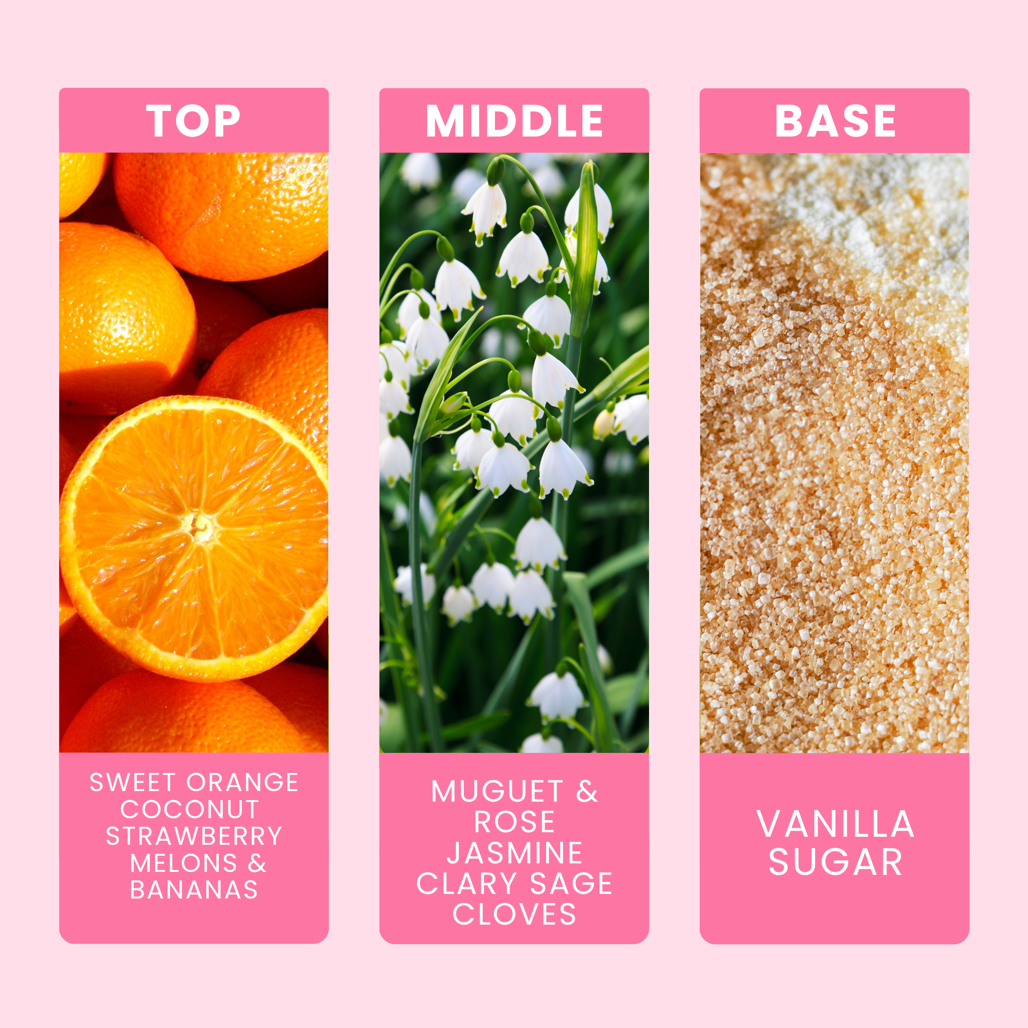 pinky-sands-fragrance-oil-notes