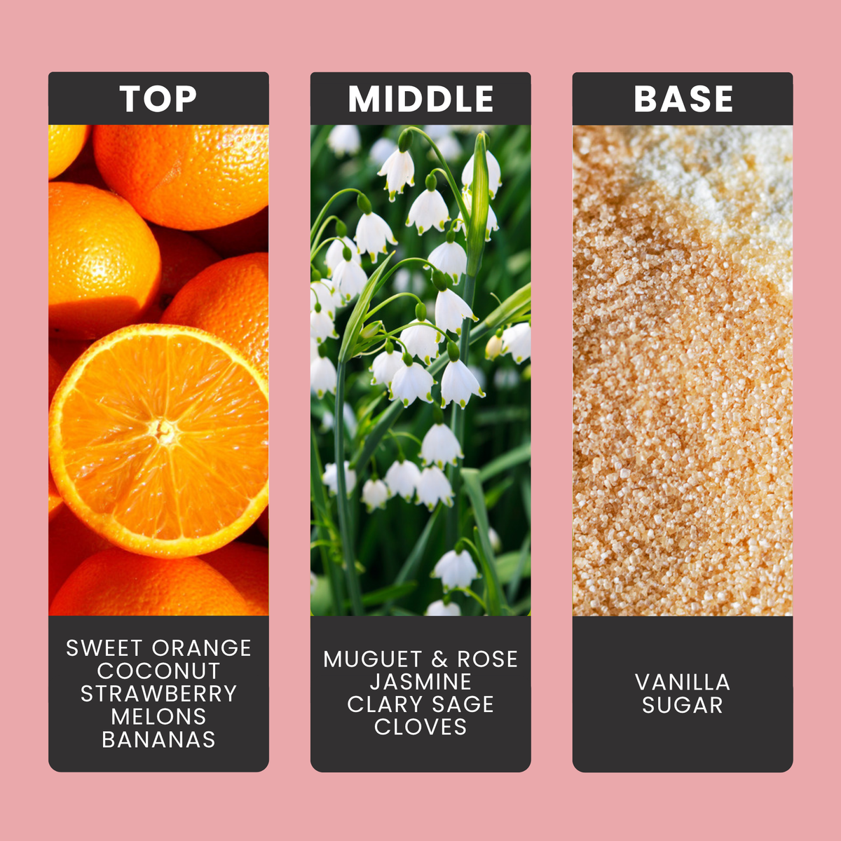 Pinky Sands fragrance oil notes: top – sweet orange, coconut, strawberry, melons & bananas; middle – muguet & rose, jasmine, clary sage, cloves; base – vanilla, sugar