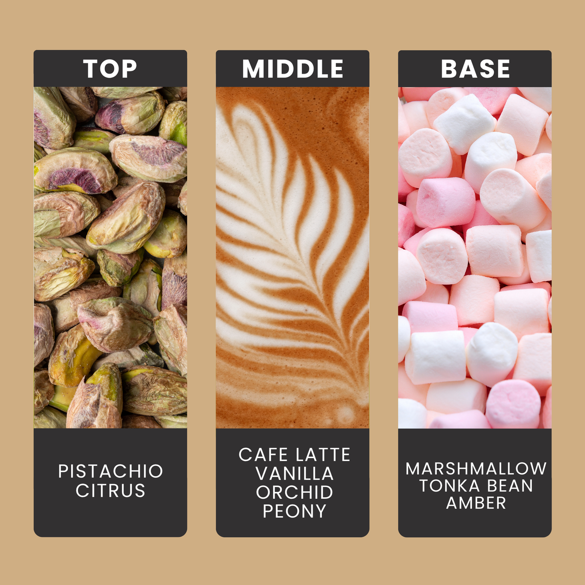 pistachio-latte-fragrance-oil-notes