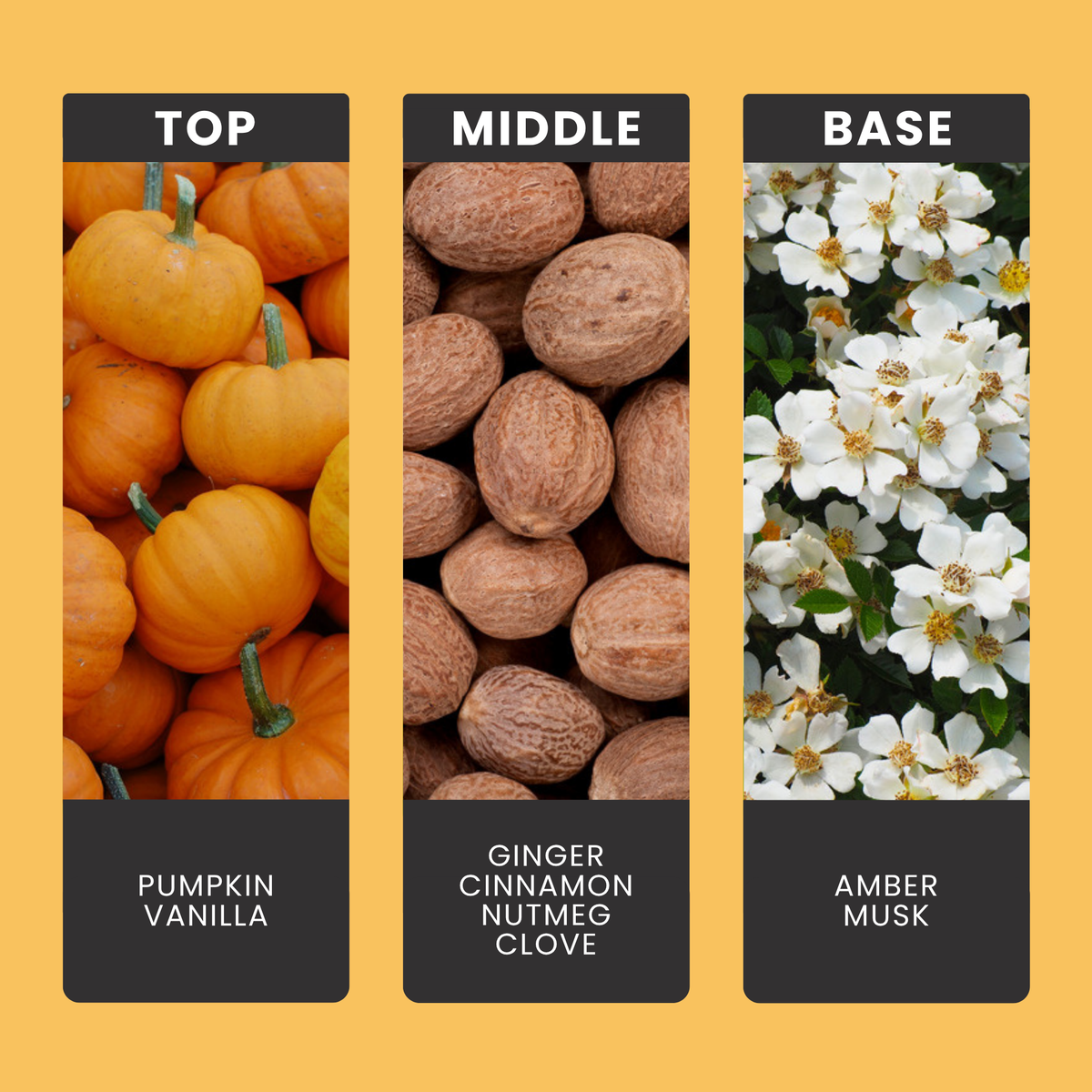 Pumpkin Spice Latte fragrance oil notes: top – pumpkin, vanilla; middle – ginger, cinnamon, nutmeg, clove; base – amber, musk