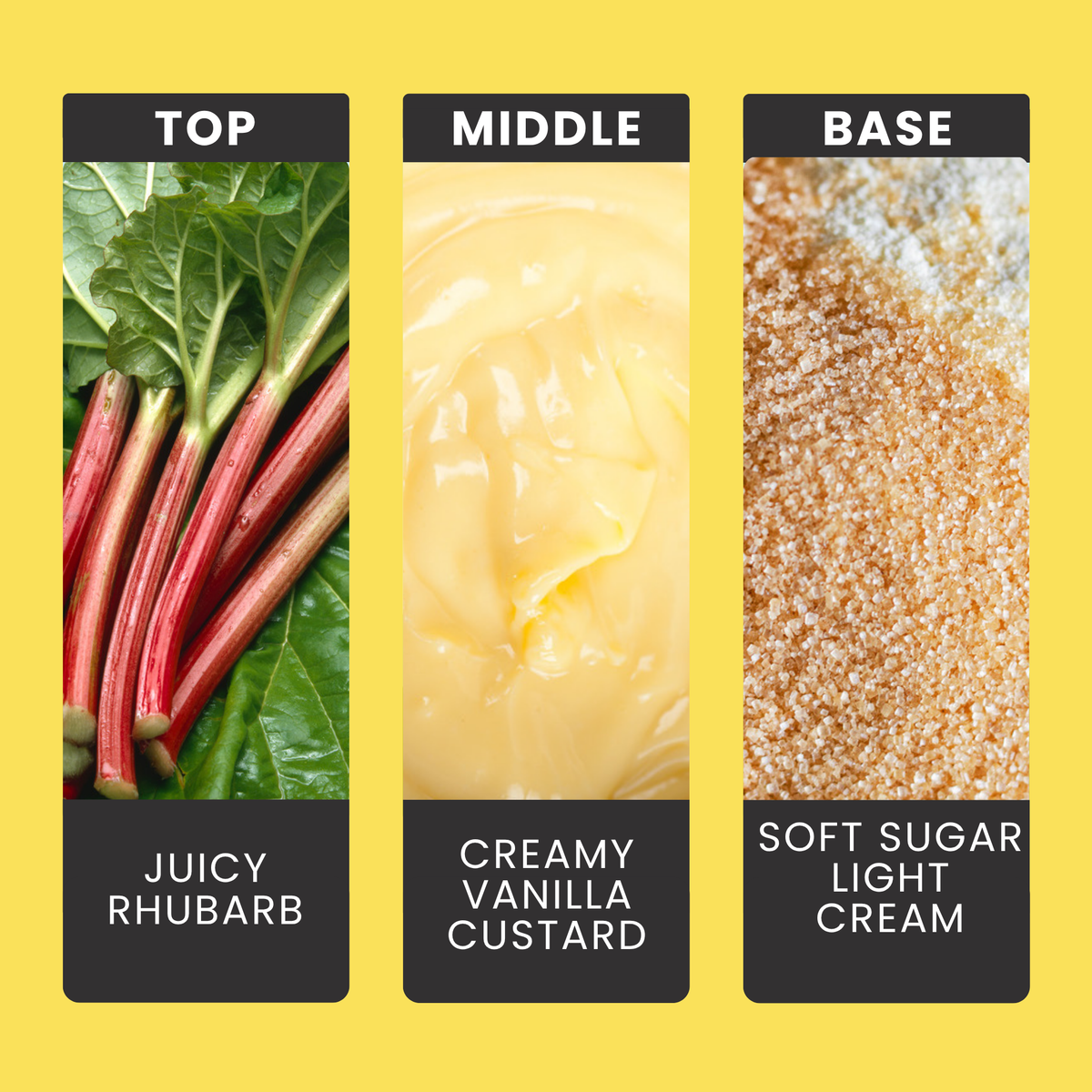 Rhubarb & Custard fragrance oil notes: juicy rhubarb and creamy vanilla custard