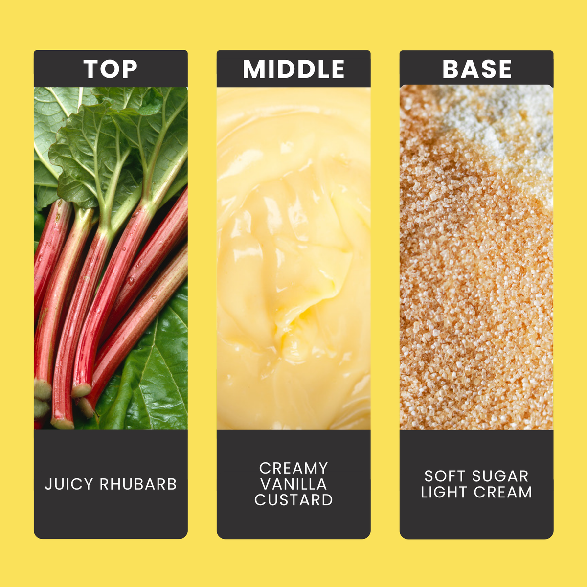 Rhubarb & Custard fragrance oil notes: top – juicy rhubarb; middle – creamy vanilla, custard; base – soft sugar, light cream