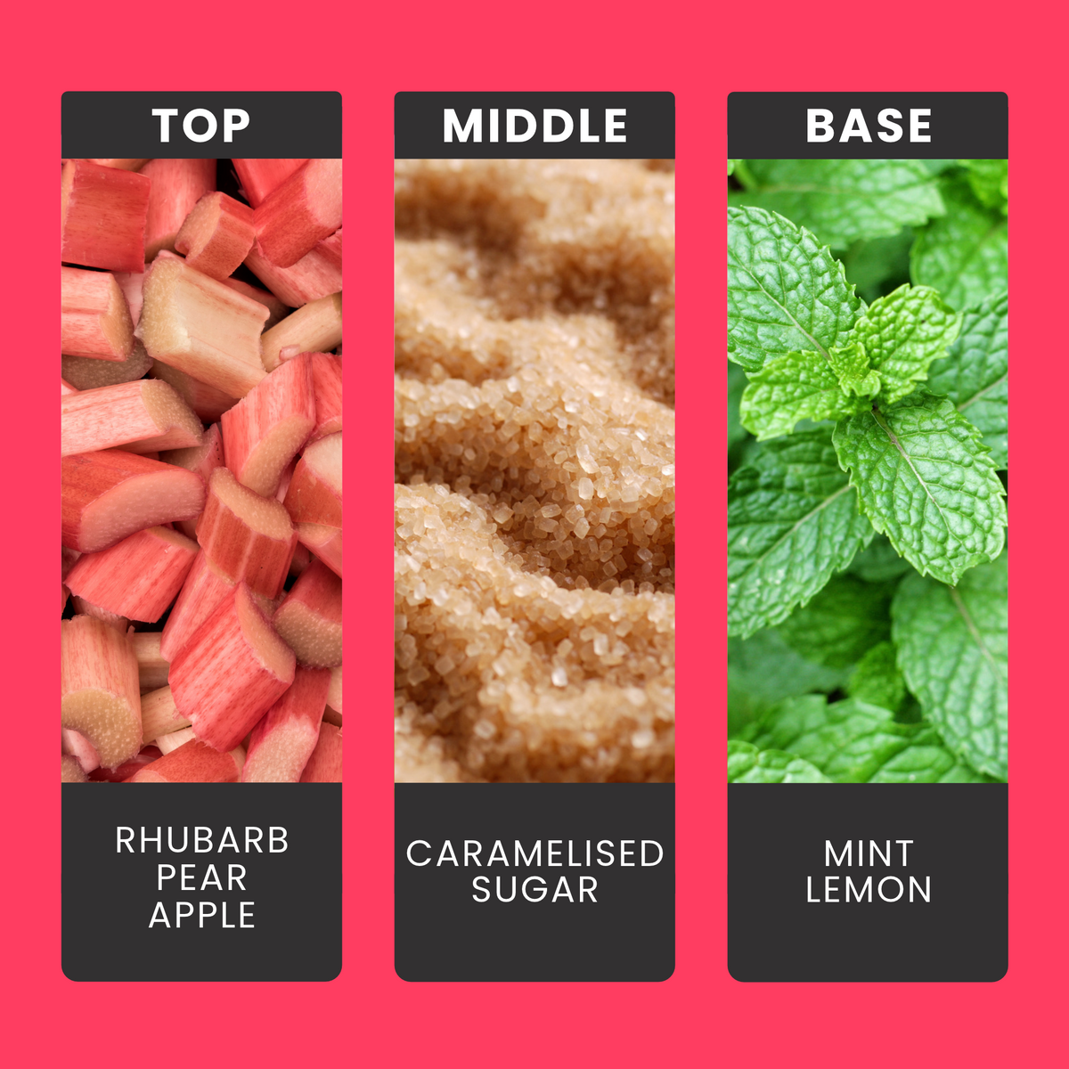 rhubarb-and-wild-mint-fragrance-oil-notes