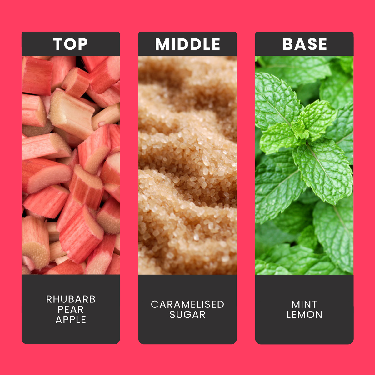 Rhubarb & Wild Mint fragrance oil notes: top – rhubarb, pear, apple; middle – caramelised sugar; base – mint, lemon