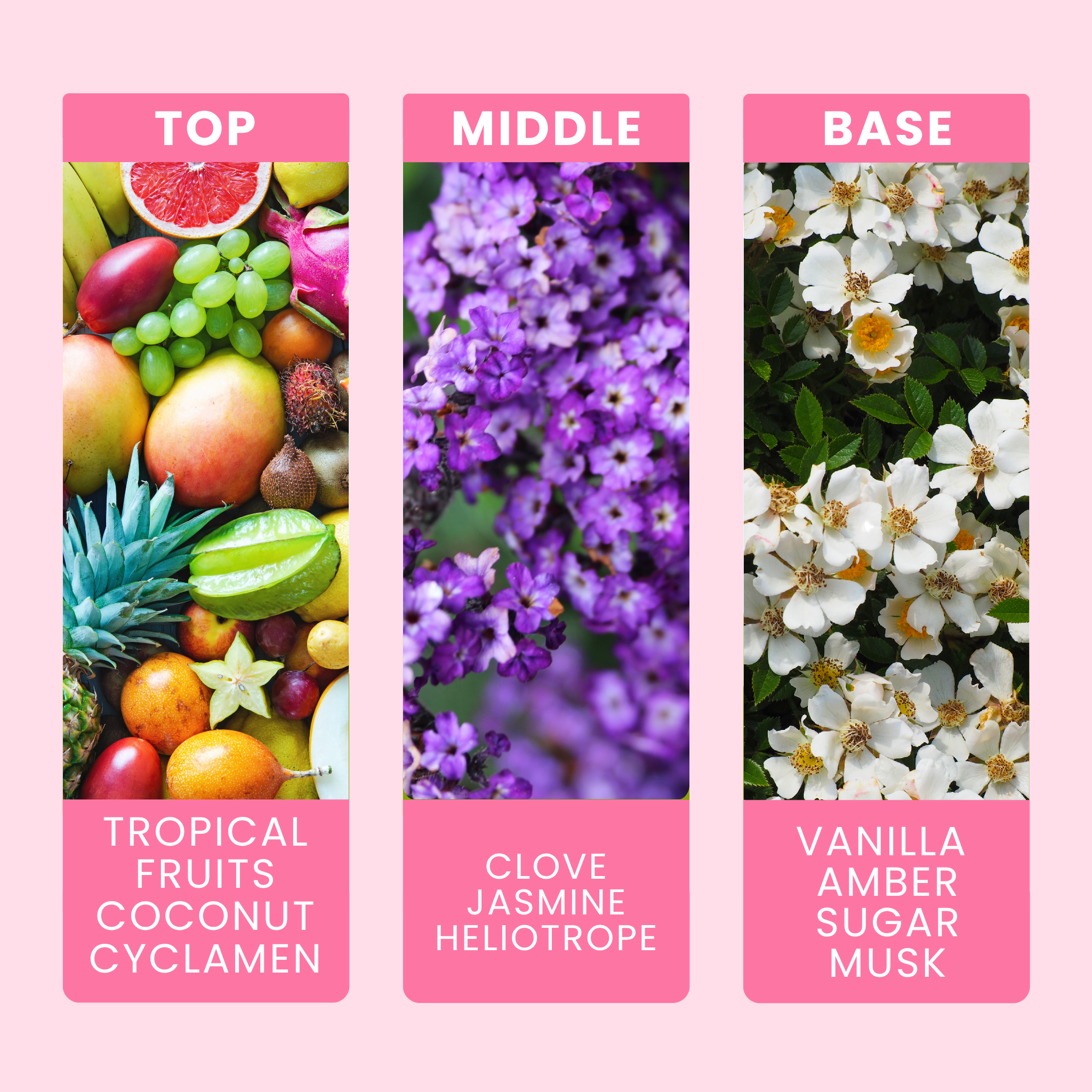 seychelles-fragrance-oil-notes