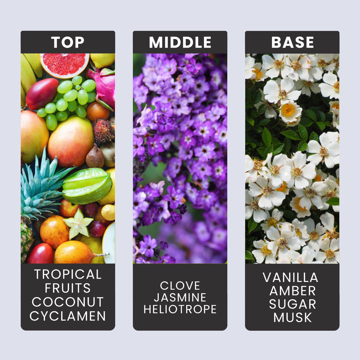 Seychelles fragrance oil notes: tropical fruits, coconut and cyclamen with clove, jasmine, vanilla and amber