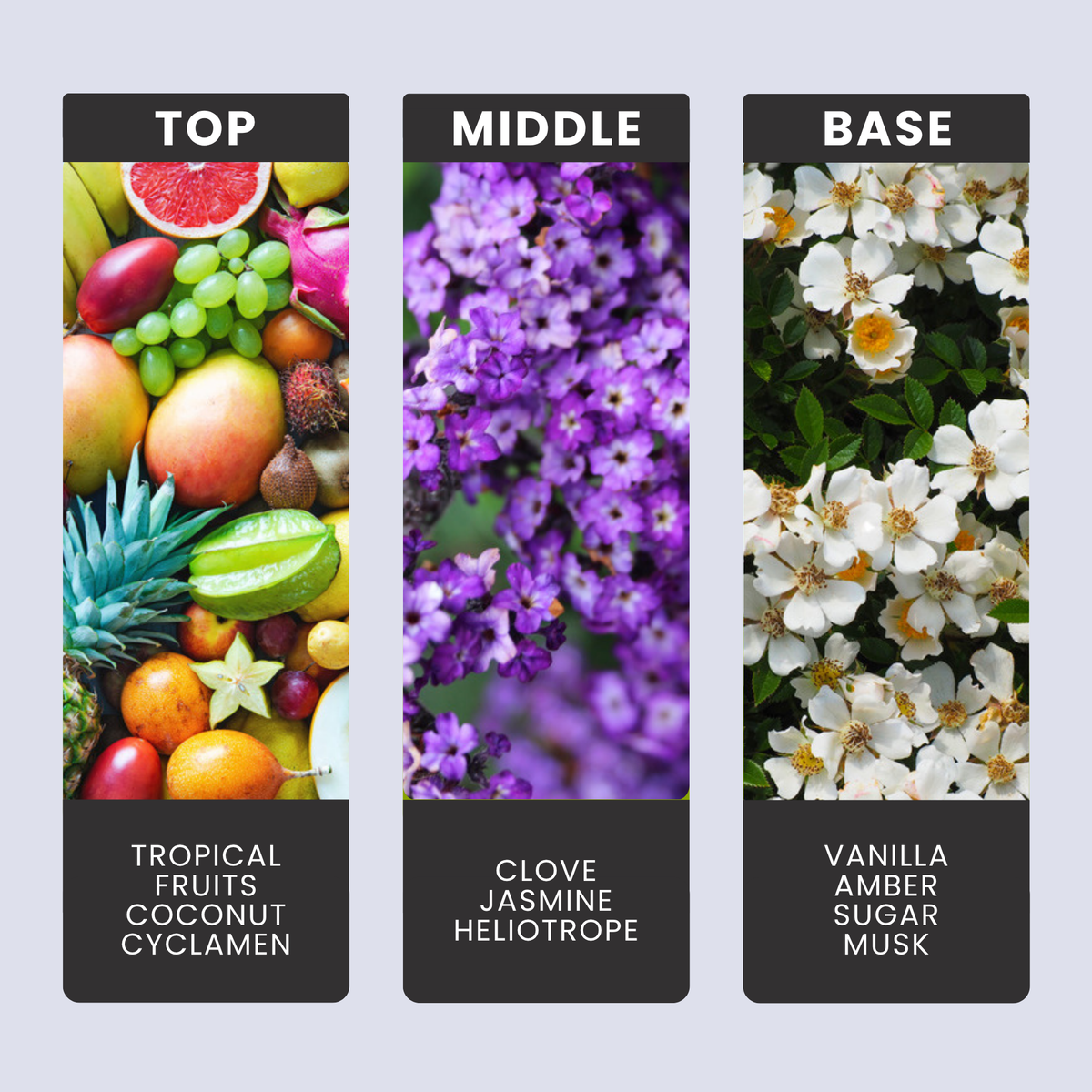 Seychelles fragrance oil notes: top – tropical fruits, coconut, cyclamen; middle – clove, jasmine, heliotrope; base – vanilla, amber, sugar, musk