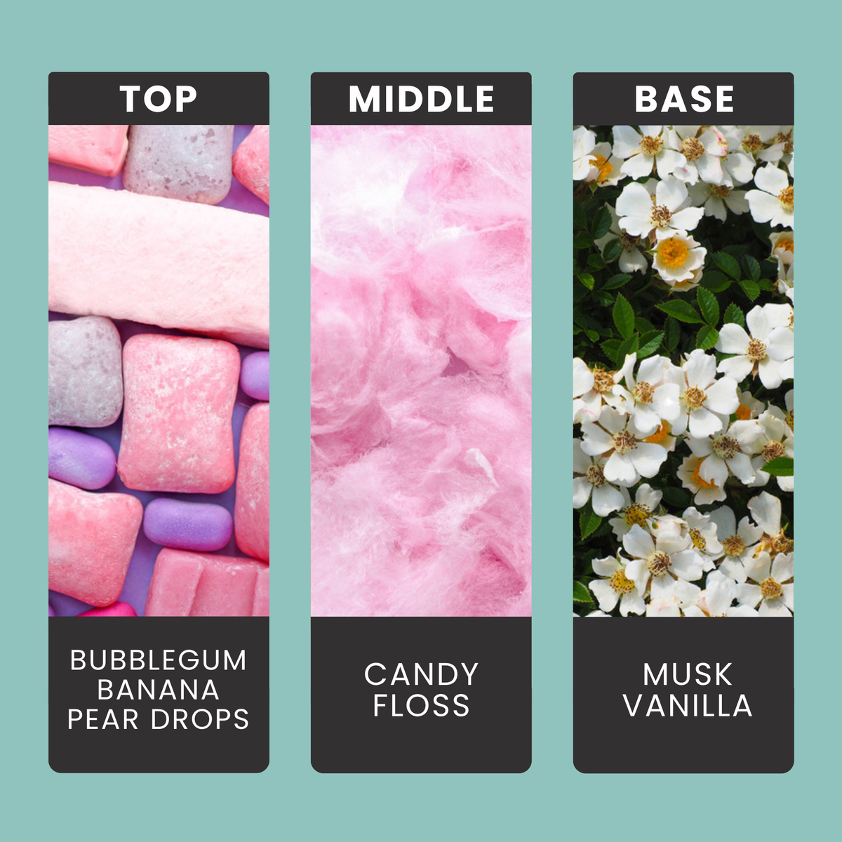 Snow Angel fragrance oil notes: bubblegum, banana and pear drops over musk, vanilla and candy floss